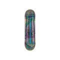 Real Dennis Busenitz Holo Cathedral Deck 8.38